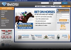 DSI Horses