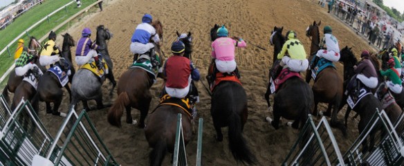 Triple Crown Exotic Wagering: Preakness Stakes Exacta Betting