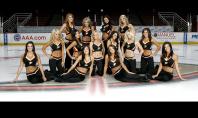 NHL Sports Betting: Ducks vs Coyotes